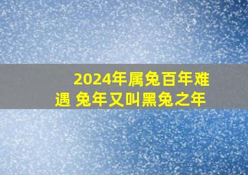 2024年属兔百年难遇 兔年又叫黑兔之年